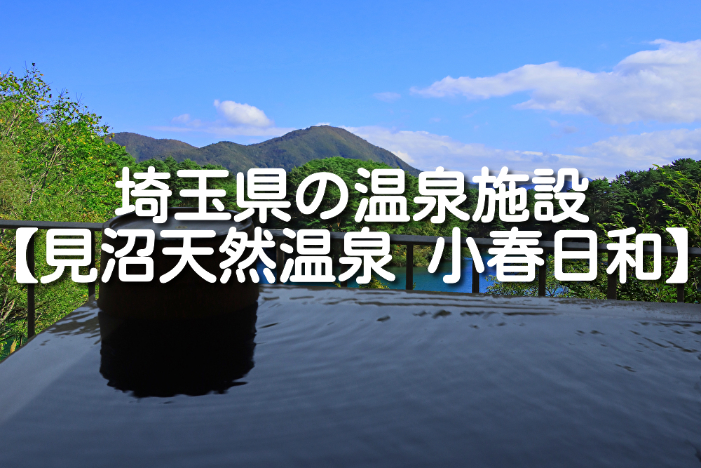 【埼玉県・さいたま市】見沼天然温泉 小春日和の施設情報